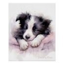 Search for sleeping dog posters Watercolor