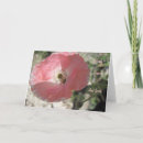 Search for poppy cards Delicate