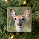Search for whitetail deer christmas tree decorations Wildlife
