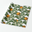 Search for orange fruit wrapping paper Elegant