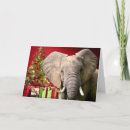 Search for elephant christmas cards Season