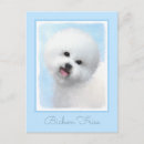 Search for bichon frise postcards White