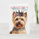 Search for yorkie lover cards Yorkies