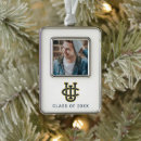 Search for anteater christmas tree decorations Eaters