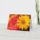 Search for yellow daisy cards Floral