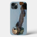 Search for ocean cases California