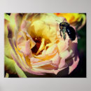 Search for flying bee posters Flower