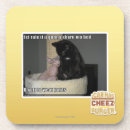 Search for x mas coasters I can has cheezburger