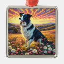 Search for border collie christmas tree decorations Pets