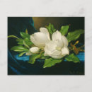 Search for giant flower postcards White
