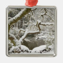 Search for japanese maple christmas tree decorations Oregon