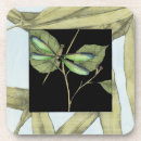 Search for dragonflies coasters Botanical