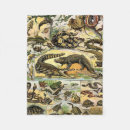 Search for tortoise blankets Reptiles