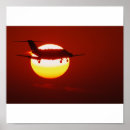 Search for cessna posters Sunset