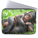 Search for chimpanzees electronics Primate