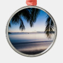 Search for fiji christmas tree decorations Destination