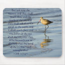 Search for bible verses job Jesus