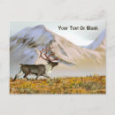 Search for on the range postcards Animals