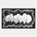 Search for black orchids stickers Elegant