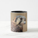 Search for american kestrel mugs Raptor