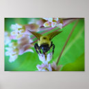 Search for pollination art Garden