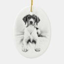 Search for brittany spaniel christmas tree decorations Cute