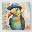 Search for keel Keel billed toucan