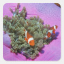 Search for clown fish stickers Underwater