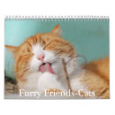 Search for furry calendars Cat