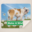 Search for dandelion gifts Animal