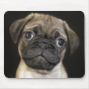 Search for sit ups mousepads Sitting