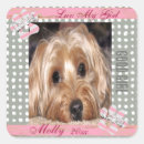 Search for fur baby stickers Pet