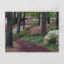 Search for spring bloom postcards Travel