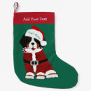 Search for bernese mountain dog christmas decor Santa