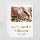 Search for pigs invitations Hog