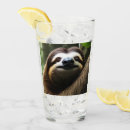 Search for sloth tumblers Wildlife