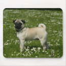 Search for mopping mousepads Flowers