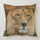 Search for south africa cushions Wildlife
