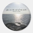 Search for salt round magnets Sea