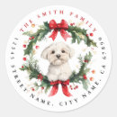 Search for maltese dogs stickers Dog breed