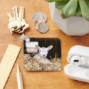 Search for baby lamb key rings Animal