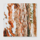 Search for pacific northwest christmas cards Oregon