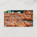 Search for pumpkin patch business cards Fall