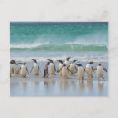 Search for inger postcards Superstock
