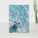 Search for sea turtle cards Baby