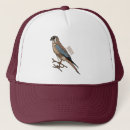 Search for hawk bird hats Falcon