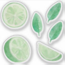 Search for lime slice stickers Citrus