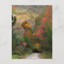Search for dirt road postcards Rural