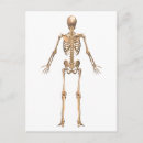Search for biomedical postcards Backbone