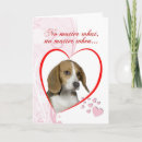 Search for beagle valentines day cards Pets